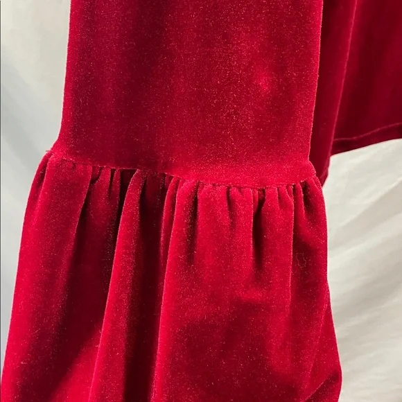 Torn by Ronny Kobo Crimson Velvet Blouse - Picture 13 of 13